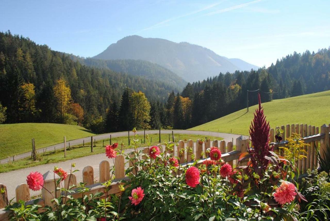 Villa Familienbauernhof Glockriegl à Lunz am See Extérieur photo